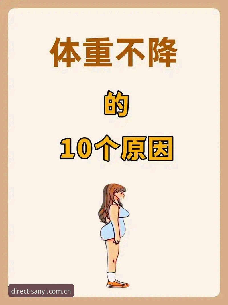 掌握三亿体育官方主页2025赛程前瞻的核心操作，这五个细节决定你的观赛效率